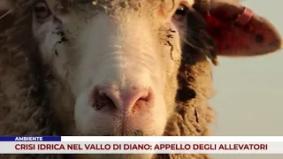 ENVIRONMENT. WATER CRISIS IN VALLO DI DIANO: FARMERS' APPEAL