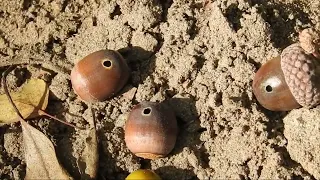 Opruimers (Natuurlijk! 28-09-2026)