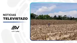 70% of crops at risk due to lack of rain | Televistazo | Ecuavisa