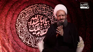 شکست متوکل عباسی از گاوها! معجزه‌ای برای زیارت امام حسین