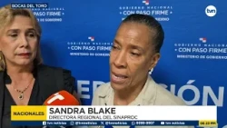 Earthquake in Panama: Sinaproc assesses homes affected by the quake in regional and island areas