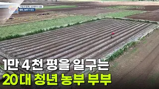 [기업과 함께, 농어촌의 내일] 1만 4천 평을 일구는 20대 청년 농부 부부 [생방송 굿모닝 대한민국] | KBS 260903 방송
