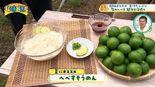 果汁たっぷり！旬のへべすの魅力を深掘り！『川﨑農園（門川町）』2026年7月9日（木）「4時どき！」