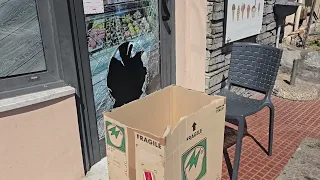 Doppia spaccata e furto in Albaro, colpiti un bar e una gelateria di corso Italia