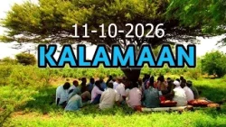 KALAMAAN 11 OGTOBER 2026