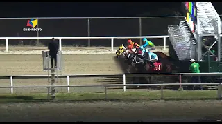 2nd race | PONSIGUE | La Rinconada Racecourse | Meeting 7 | 2026