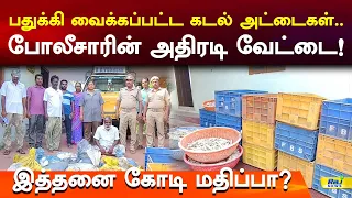 பதுக்கி வைக்கப்பட்ட கடல் அட்டைகள்.. போலீசாரின் அதிரடி வேட்டை! இத்தனை கோடி மதிப்பா? #IllegalSmuggling