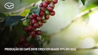 Coffee production set to grow nearly 20% in 2026