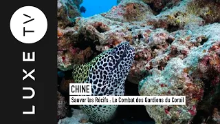 Saving the Reefs: The Battle of the Coral Guardians