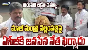 తిరుపతి లడ్డూ ఇష్యూ.. మాజీ మంత్రి వెల్లంపల్లిపై ఏసీబీకి జనసేన నేత ఫిర్యాదు | Baditha Shankar |