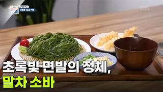 [면생면사] 초록빛 면발의 정체! 말차 소바 [생방송 굿모닝 대한민국] | KBS 260828 방송