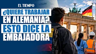 ¿Quiere trabajar en Alemania? Esto recomienda la embajadora a los colombianos | EL TIEMPO