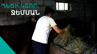 Հարսիս թողում չեմ գոմը մտնի,նա պտի թագուհու պես ապրի,պլպլա Ջեմմայի դրախտը