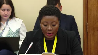 Afro-descendant women's foundation testifies before migration control commission