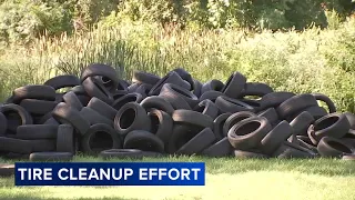 Hundreds of tires illegally dumped in Philadelphia