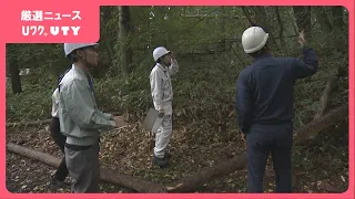 「対策をしっかりしていきたい」県営キャンプ場の倒木で2人がけが　県が緊急点検　伐採予定の10本の他 新たに10本余りも伐採対象に　山梨