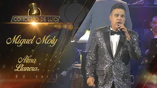 [Concierto De Lujo] – Miguel Moly– Alma Llanera