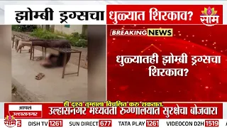 झोम्बी ड्रग्सचा धुळ्यात शिरकाव? तरुण 3 तास बाकड्याला लटकलेल्या अवस्थेत | Dhule Zombie Drug