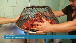 MOŠTOVÁNÍ JE V PLNÉM PROUDU