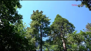 Dedičstvá nášho kraja - Botanická záhrada v Banskej Štiavnici