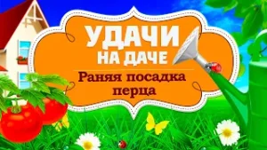 Удачи на даче. Раняя посадка перца (05.02.2026)