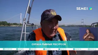 PROTECTING FISHERY RESOURCES