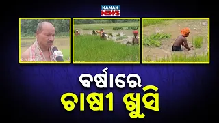 Odisha Rain Update | Khordha Farmers Begin Paddy Transplantation