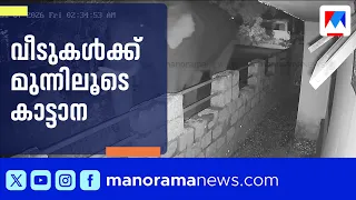 Lone Tusker Walks Past House in Palakkad; CCTV Footage Released | Palakkad | Wild Elephant | CCTV