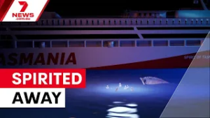 That's the spirit: Ferry skipper saves seven people during a dramatic bay rescue | 7NEWS