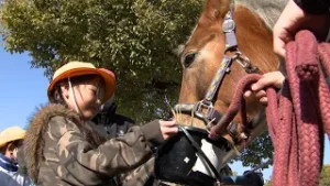 馬とのふれあい　小学生がホースセラピーを体験