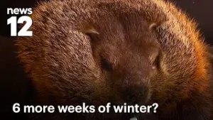 Команды Malverne Mel и Holtsville Hal сделали прогнозы на зиму в День сурка | News 12