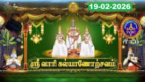 Srivari Kalyanotsavam || Tirumala || SVBC2 Tamil || 19-02-2026 || SVBC TTD
