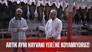 Artık Aynı Hayvanı Yerine Koyamıyoruz!
