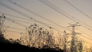 Energy crisis on the horizon? Experts warn about 2030