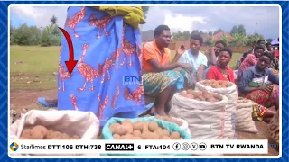 MUSANZE: ABAHINZI B'IBIRAYI NABO BASHOBEWE BATI "IBI BINTU NIBWO TWABIBONA, IKI GICIRO CYATUYOBEYE"