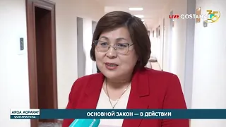 The Constitution in Action