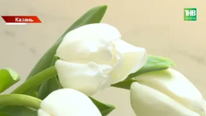 3,5 миллиона цветов под проверкой: что может скрываться в букете к 8 Марта?
