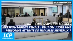 Audience d'irresponsabilité pénale | Justice en France