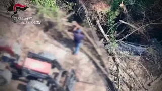 Vibo Valentia, uomo ripreso da un drone mentre appicca incendio boschivo: arrestato