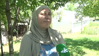 Poljoprivredni proizvođači koji se bave plasteničkom proizvodnjom počeli sa ubiranjem prvih plodova