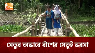 পাকা সেতুর অভাবে বাঁশের সেতুই ভরসা, দুর্ভোগে জামালপুরের অর্ধলক্ষাধিক মানুষ | Mohona TV
