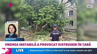 Furtuna a făcut ravagii în nordul și centrul Moldovei: Copaci doborâți, acoperișuri smulse