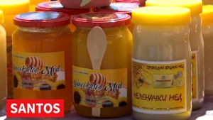 NAJVLJEN 10.  PČELA FEST