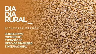 Sesame experiences expansion in the Brazilian and international market