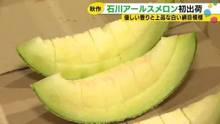 "Satisfactory Results" Despite the Heat: Ishikawa Earl's Melon Autumn Harvest Begins (September 3...