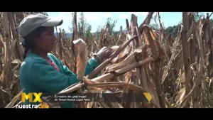 Séptima muestra de cine en lenguas originarias. El rostro de una mujer | Promo MX Nuestro Cine