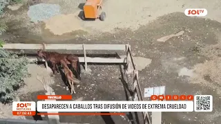 Trujillo: Horses disappear after videos of extreme cruelty are released