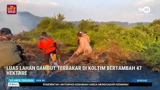 LUAS LAHAN GAMBUT TERBAKAR DI KOLTIM BERTAMBAH 47 HEKTARE