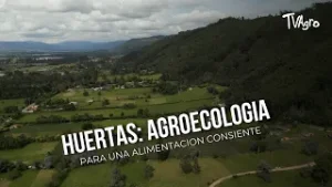Huertas: agroecologia para una alimentacion consiente  - TvAgro por Juan Gonzalo Angel