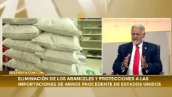 21 provincias dependen del cultivo de arroz en República Dominicana
